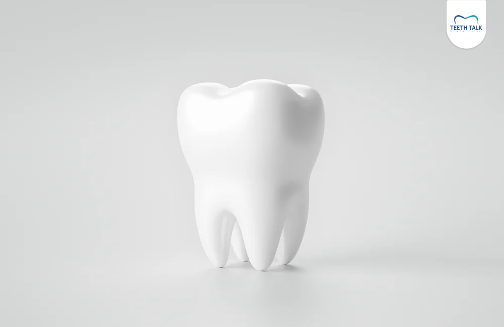 ครอบฟัน Zirconia VS PFM